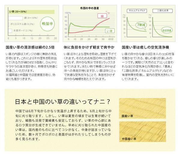 添島勲商店 国産 い草花ござ ラグマット 約174×174cm No925