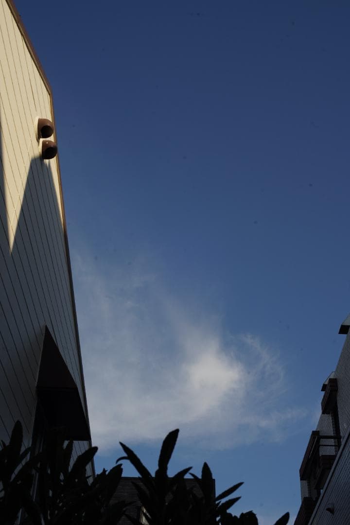 美品　OLYMPUS OM-SYSTEM G.ZUIKO 50 1.4