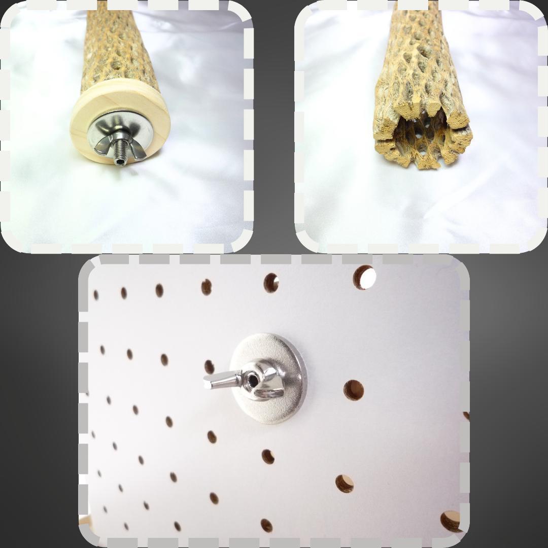 Chiiia様おまとめ　止まり木　カクタススケルトン　パーチ　2本