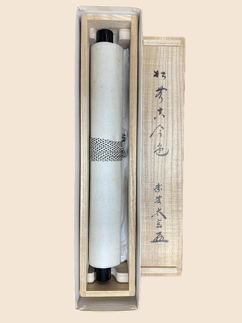 は*る様 小林太玄『松無古今色』茶道具 一行書 共箱 臨済宗大徳寺黄梅院住職 掛