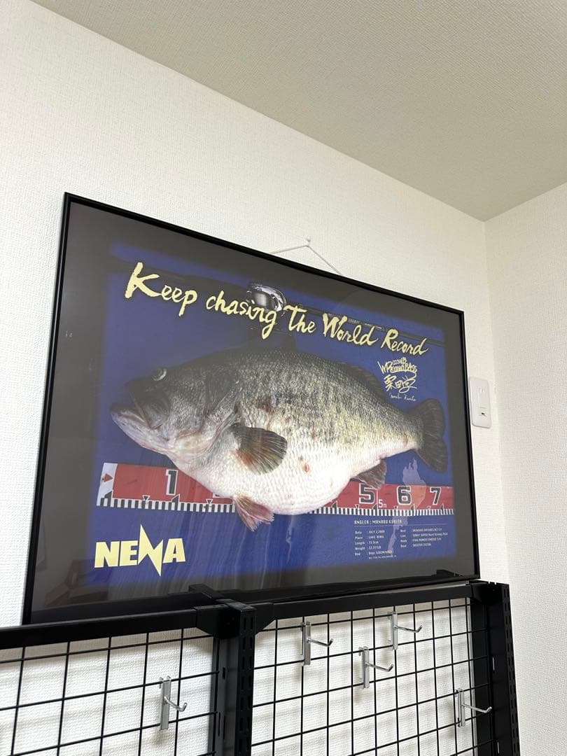 額縁入り　NENA/ネーナ　実物大　ワールドレコードブラックバスポスター