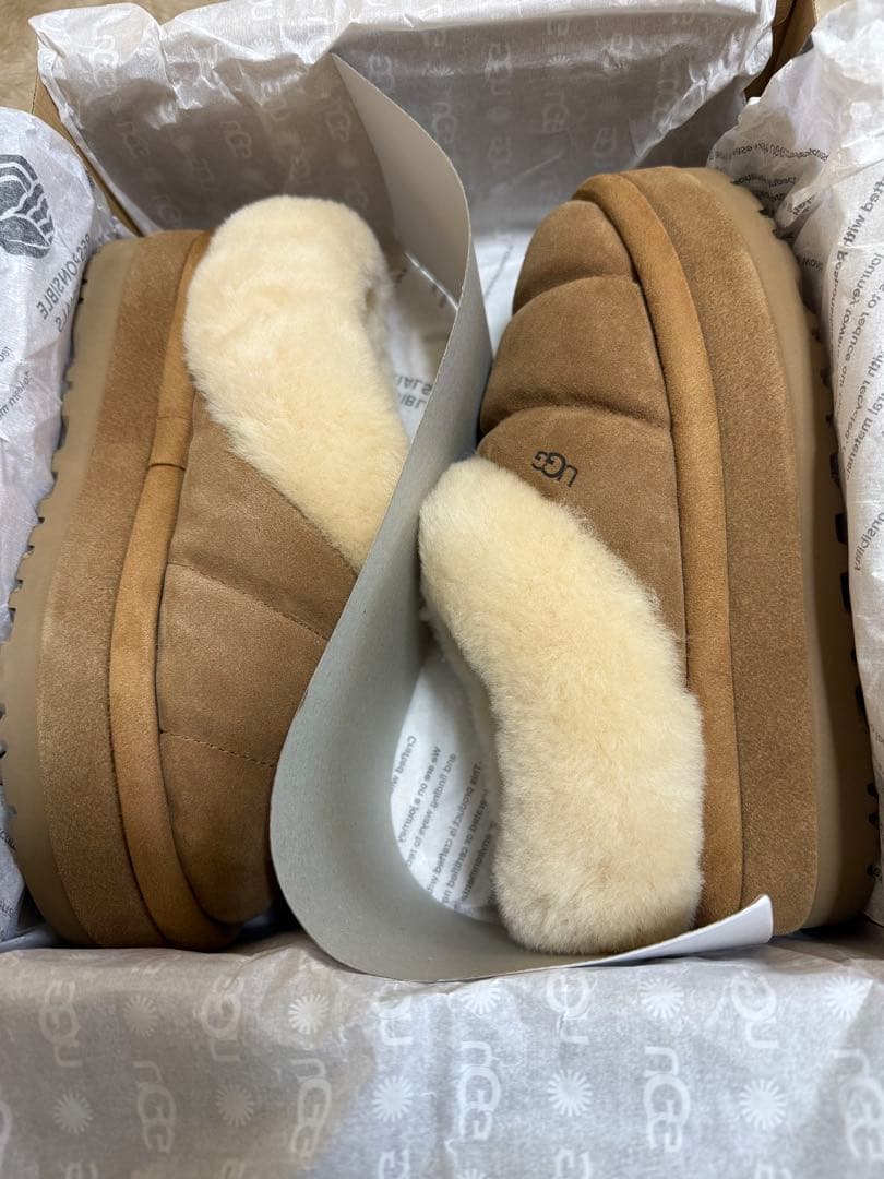 正規品　UGG Tazzlita ダズリータ　チェスナット　39 箱あり
