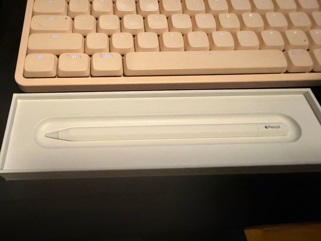 iPadアクセサリー Apple Pencil (USB_C)