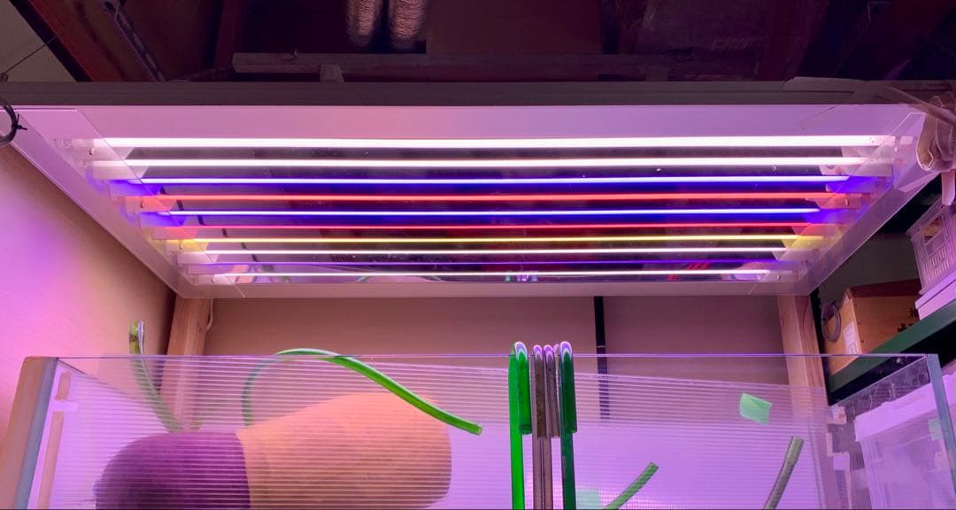 KZ Coral Light t5 アクアリウムライト　⭐️ADA 水槽にどうぞ