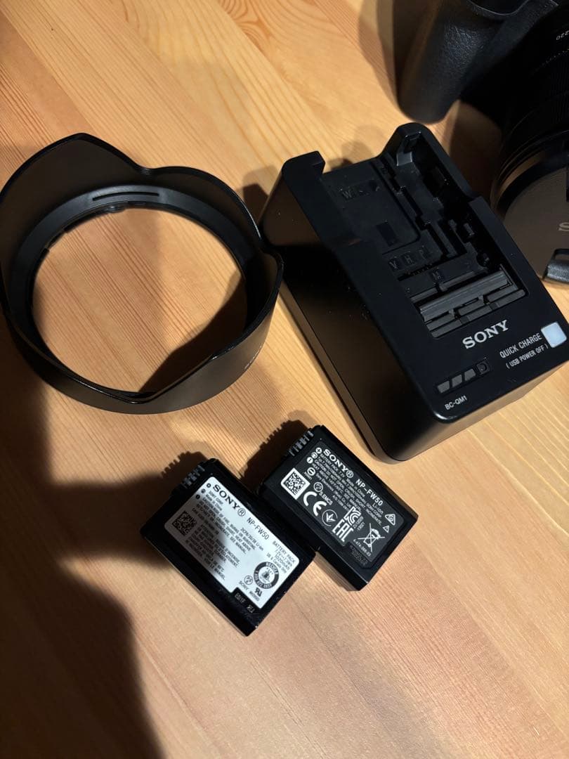 SONY ソニー　DSC-RX10M Ⅳ