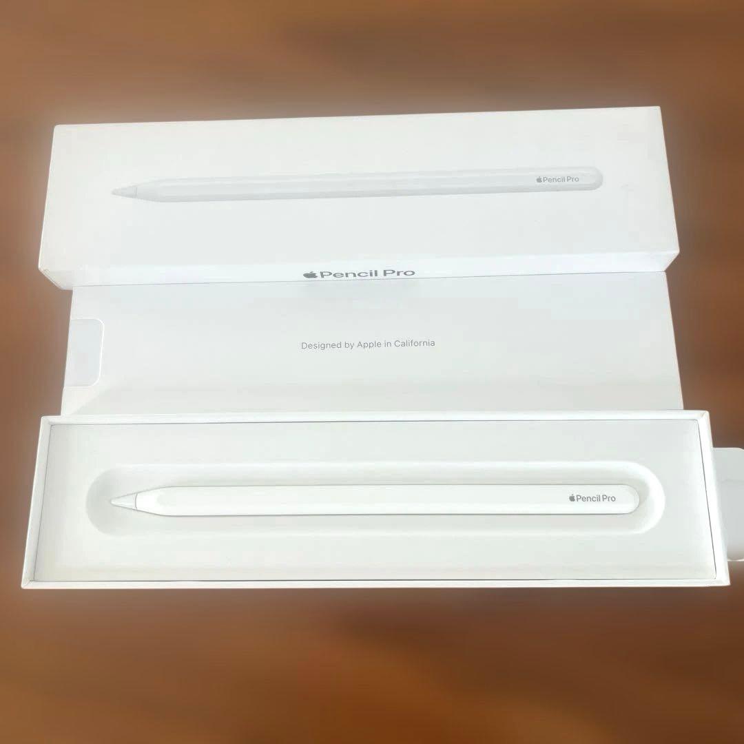 Apple Pencil Pro 専用ケース付と紙袋付き