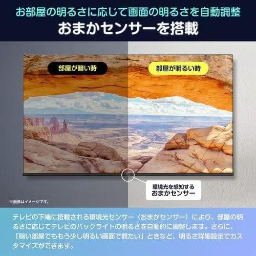 新品 Hisense ハイセンスジャパン 50G5N 50V型 4K液晶テレビ