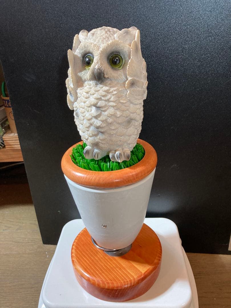 中型ファルコンブロック、猛禽パーチ（屋内用Mサイズ）