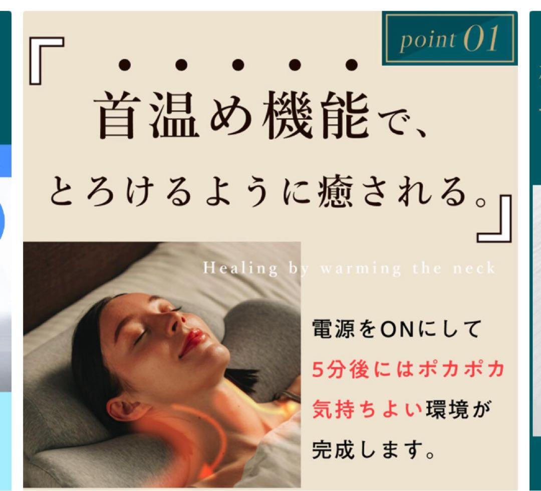 美品！替カバー付！ホットピロー CALQS カルクス SurvaQ サバキュー