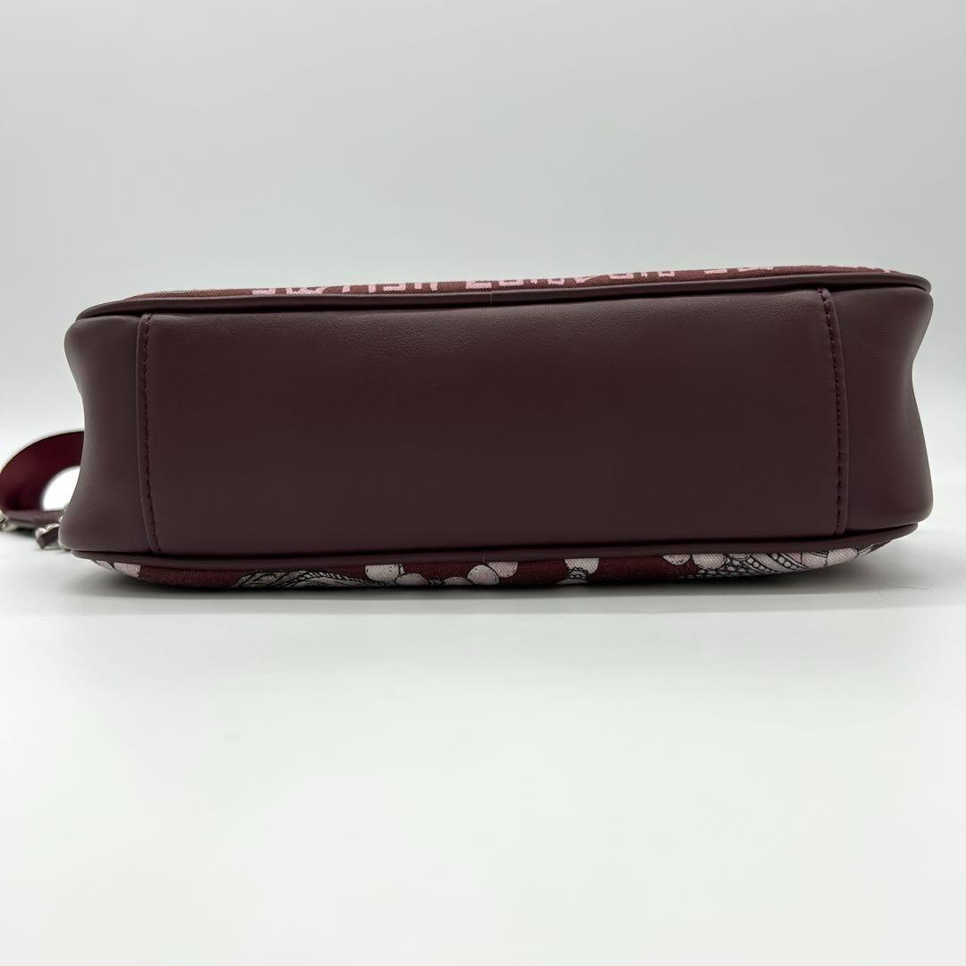 【極美品】 イアパピヨネ SWASH コラボ ショルダーバッグ ボルドー 総柄