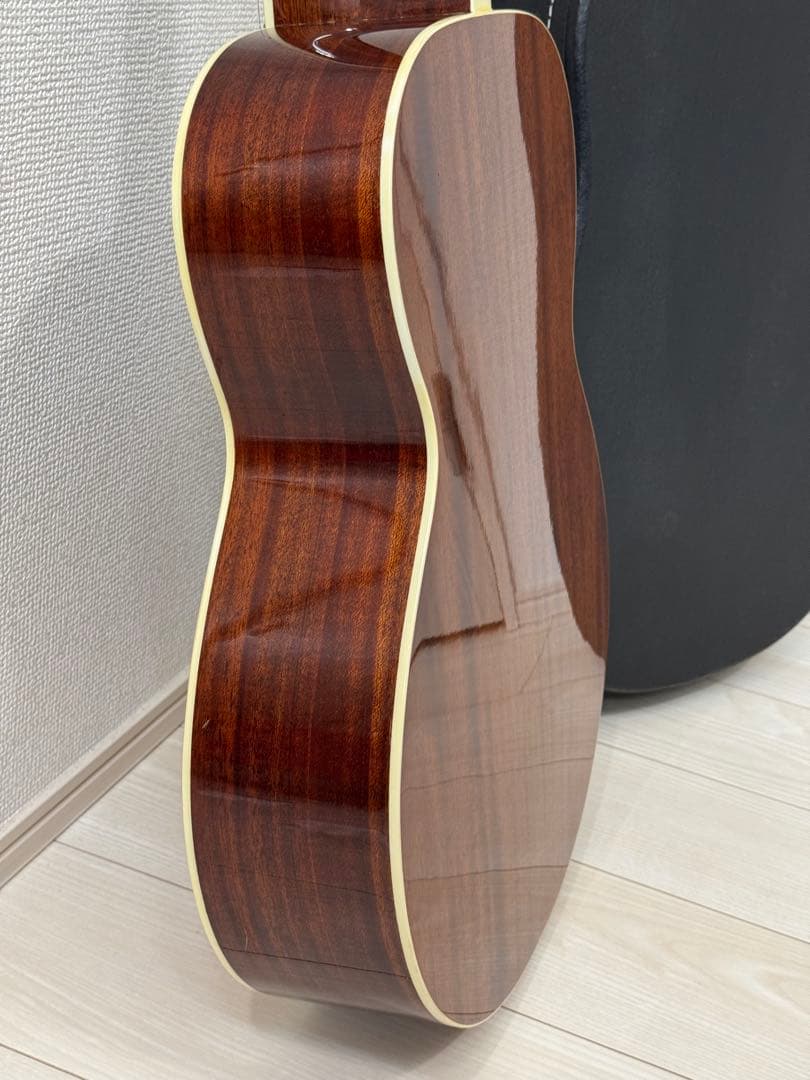 【お得】James JF350NAアコースティックギター ハードケース付き