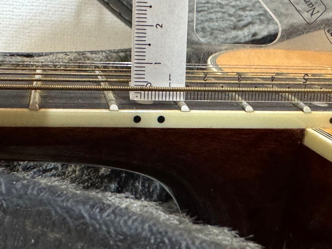 【お得】James JF350NAアコースティックギター ハードケース付き