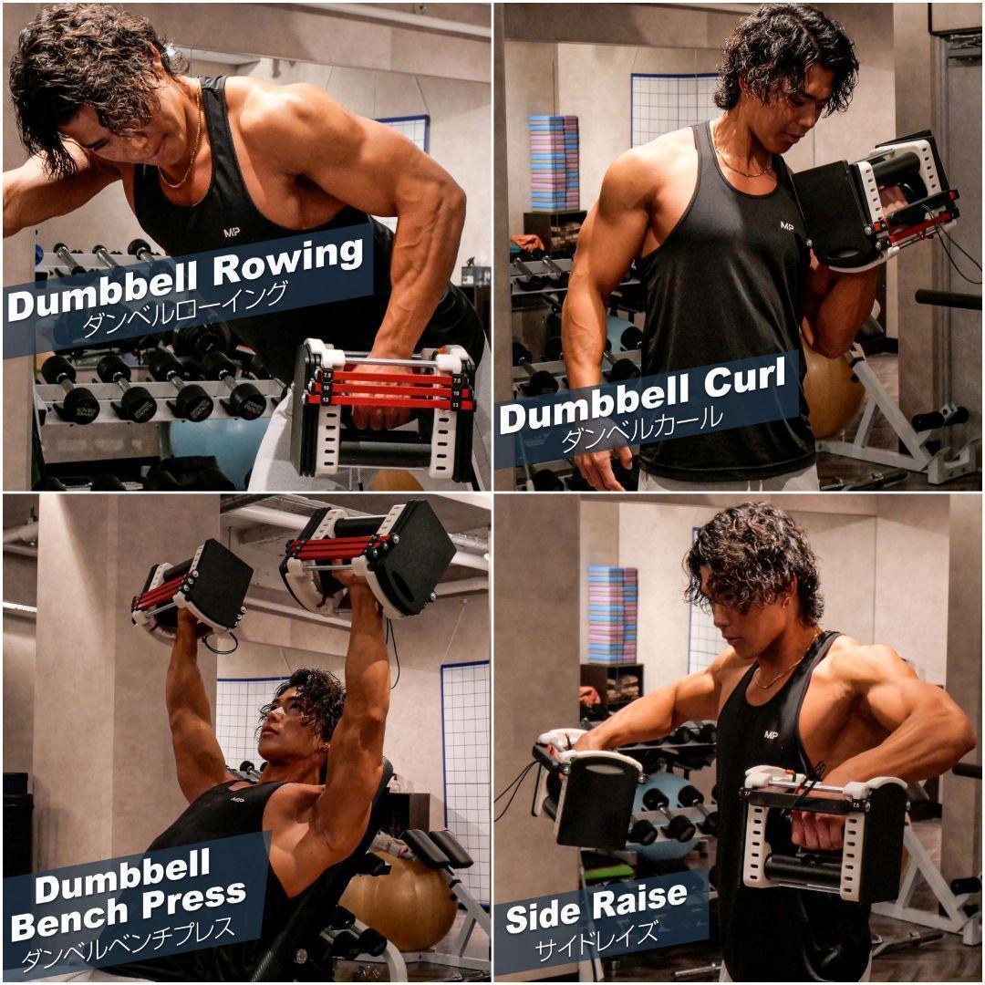 パワーブロック ダンベル 可変式ダンベル 23kg 12段階調節 2386