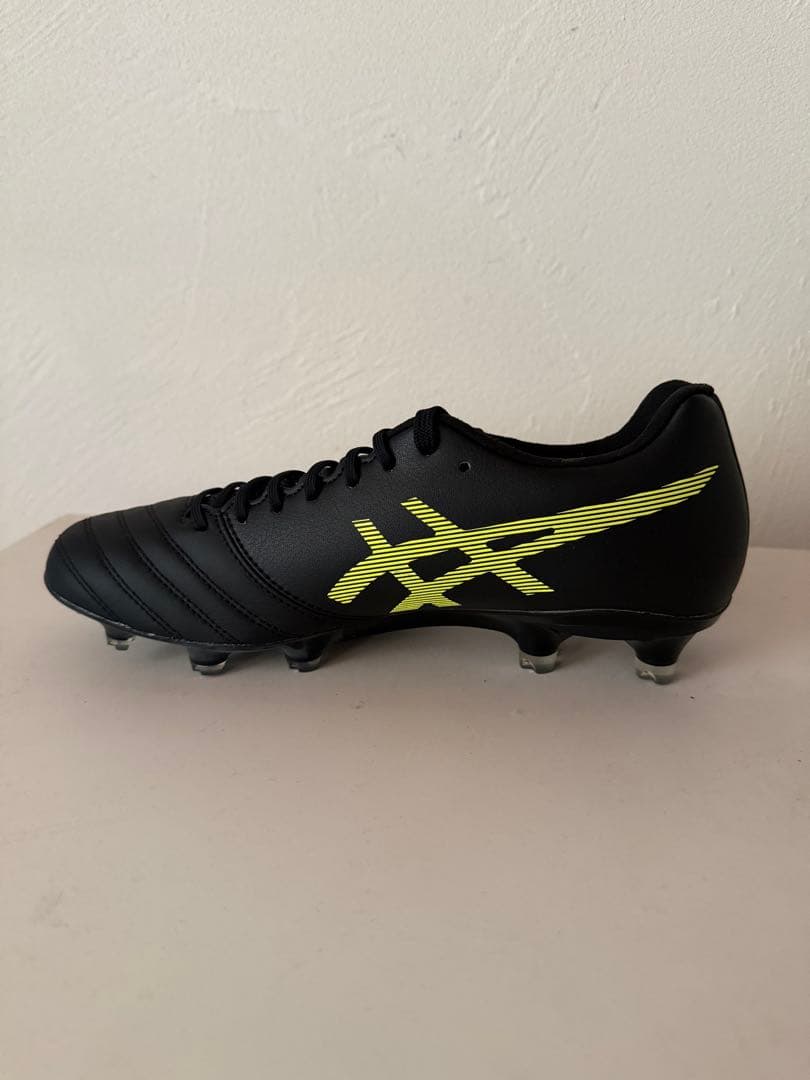 最終値下げ！新品asics DS LIGHT X-FLYPRO 24.5cm