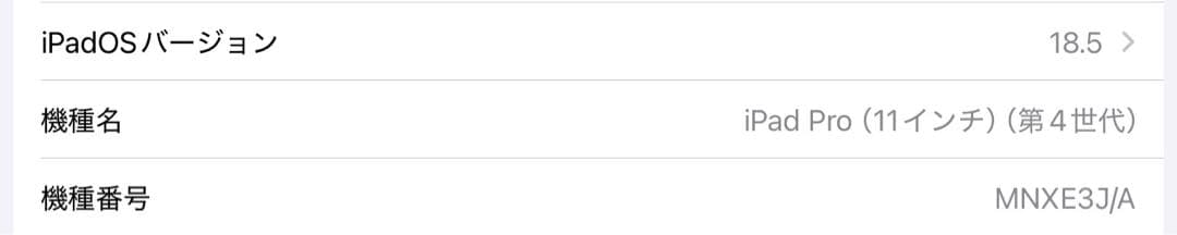 iPad Pro 11インチ 第4世代 WiFiモデル【バッテリー容量99%】