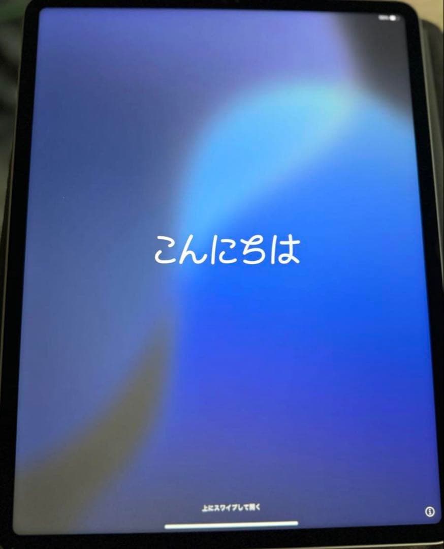 M1 iPad Pro 12.9インチ(第5世代) 256GB