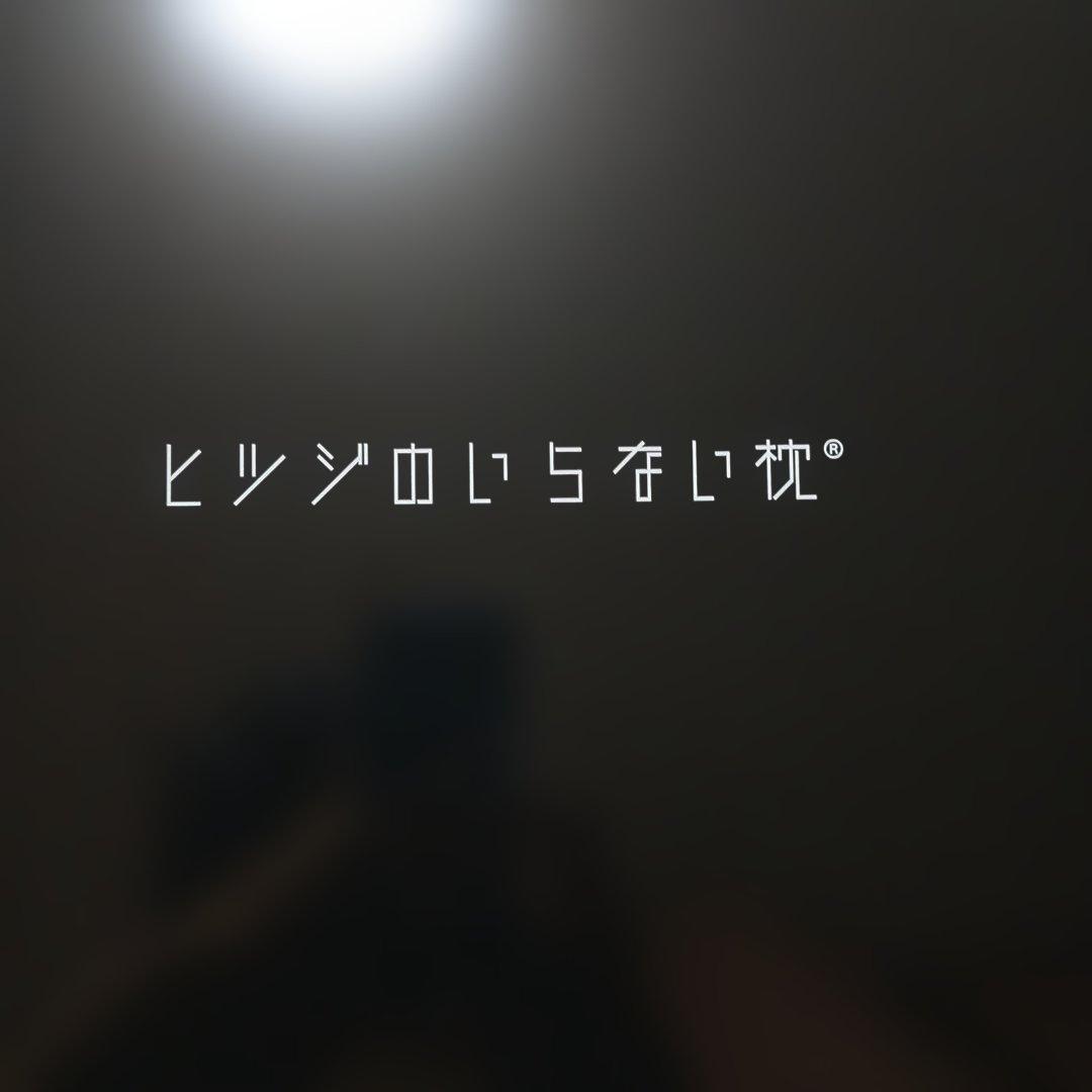 ヒツジのいらない枕　至極　枕カバー 2枚 取扱説明書付き