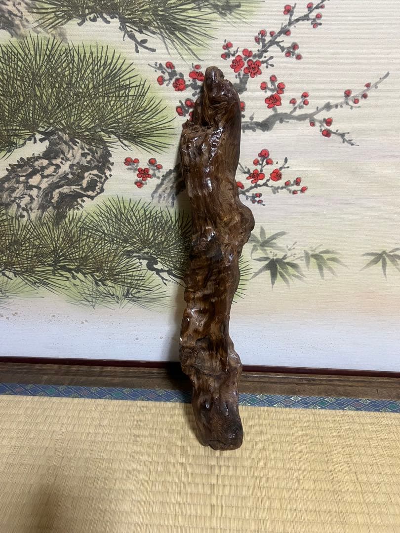 屋久杉　インテリア　瘤　水槽