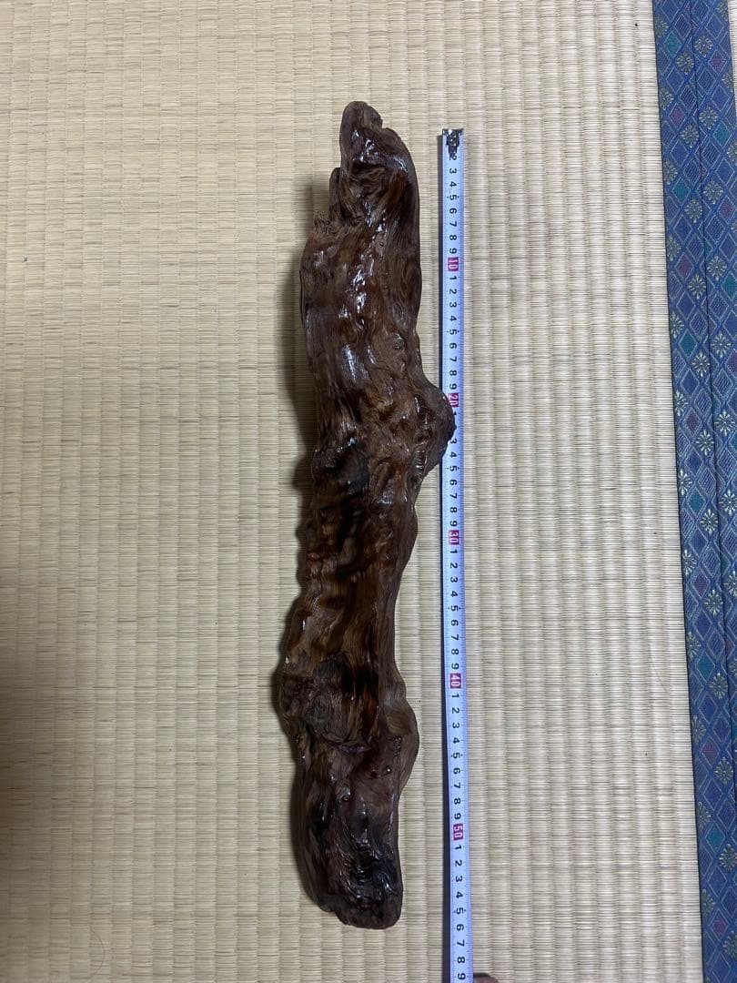 屋久杉　インテリア　瘤　水槽