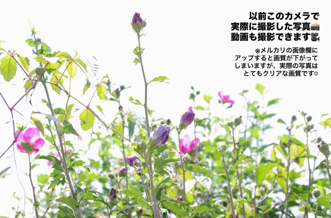 【ペンタックス/PENTAX】デジタル一眼レフカメラkx標準レンズ18-55mm