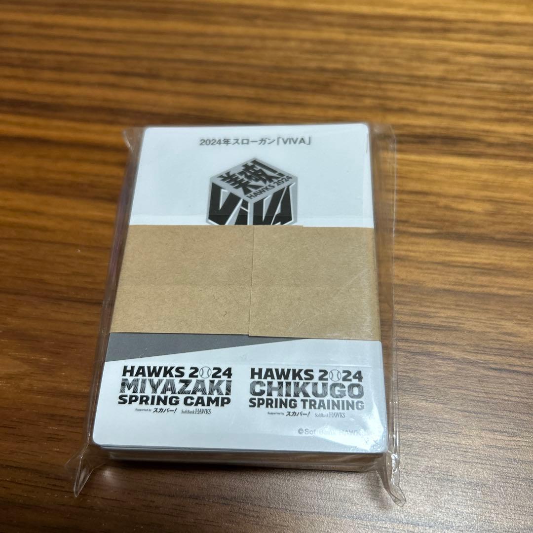 ソフトバンクホークス　2024年春季キャンプ　プロマイドカード　全種