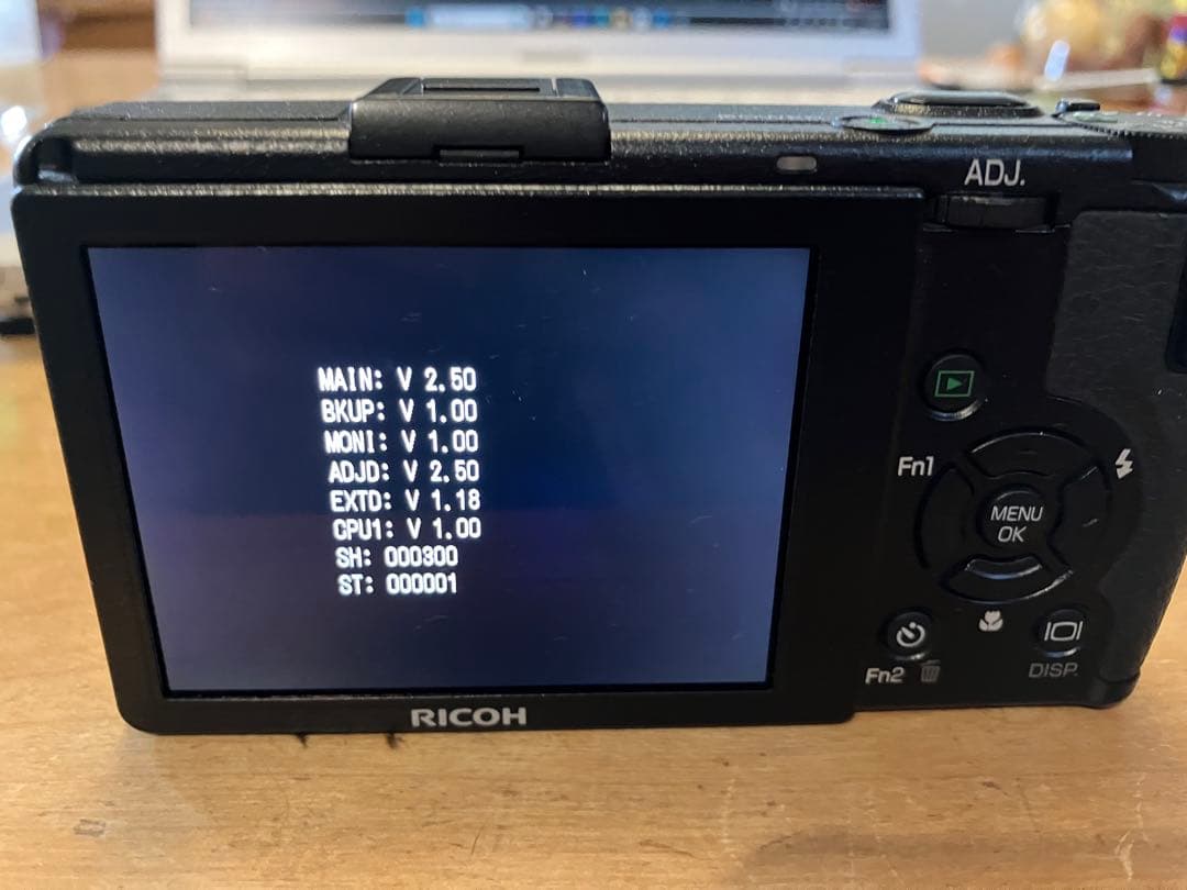 RICOH GR DIGITAL Ⅲ ショット数300回