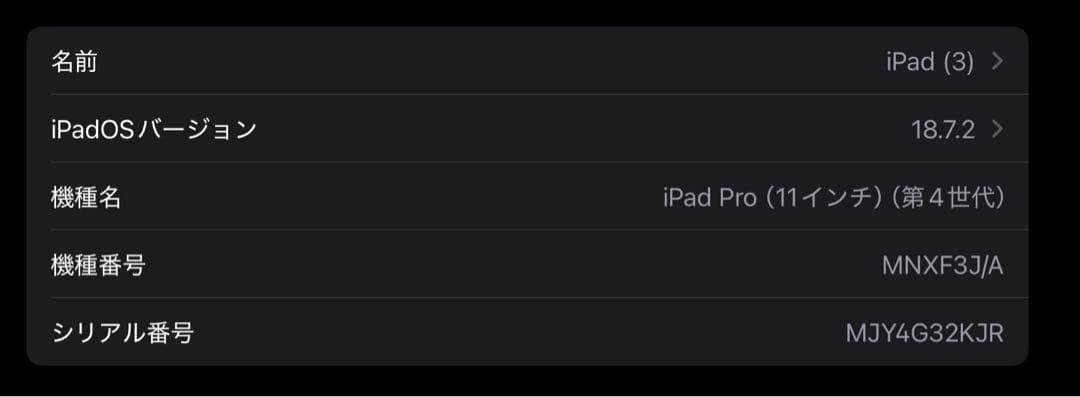 iPad Pro 第四世代256GB 有線LAN、有線ケーブル付