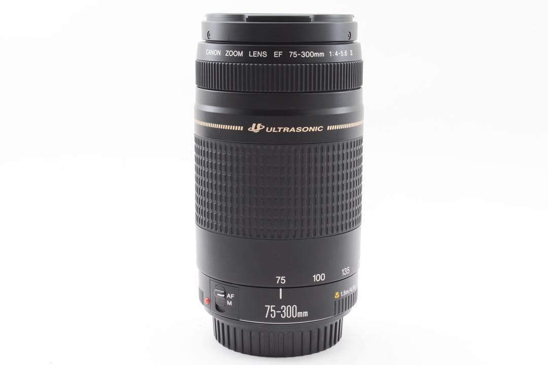☆望遠レンズ/Canon EF 75-300㎜1:4-5.6 Ⅱ☆