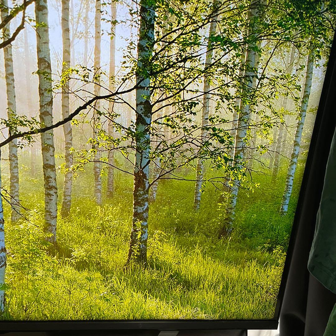 ハイセンス　43U7F 液晶テレビ　43型　Hisense