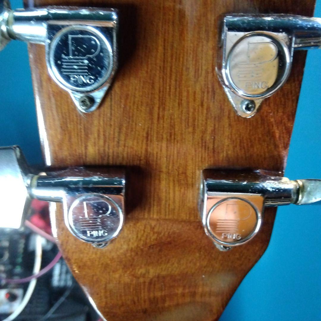 TAKAMINE、アコースティック！ビンテージ…