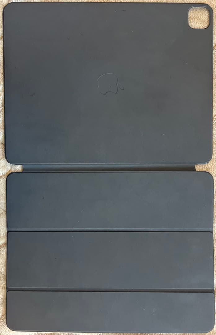 iPad Pro 第6世代(12.9インチ) 画面ひび割れ(お値下げ可能)