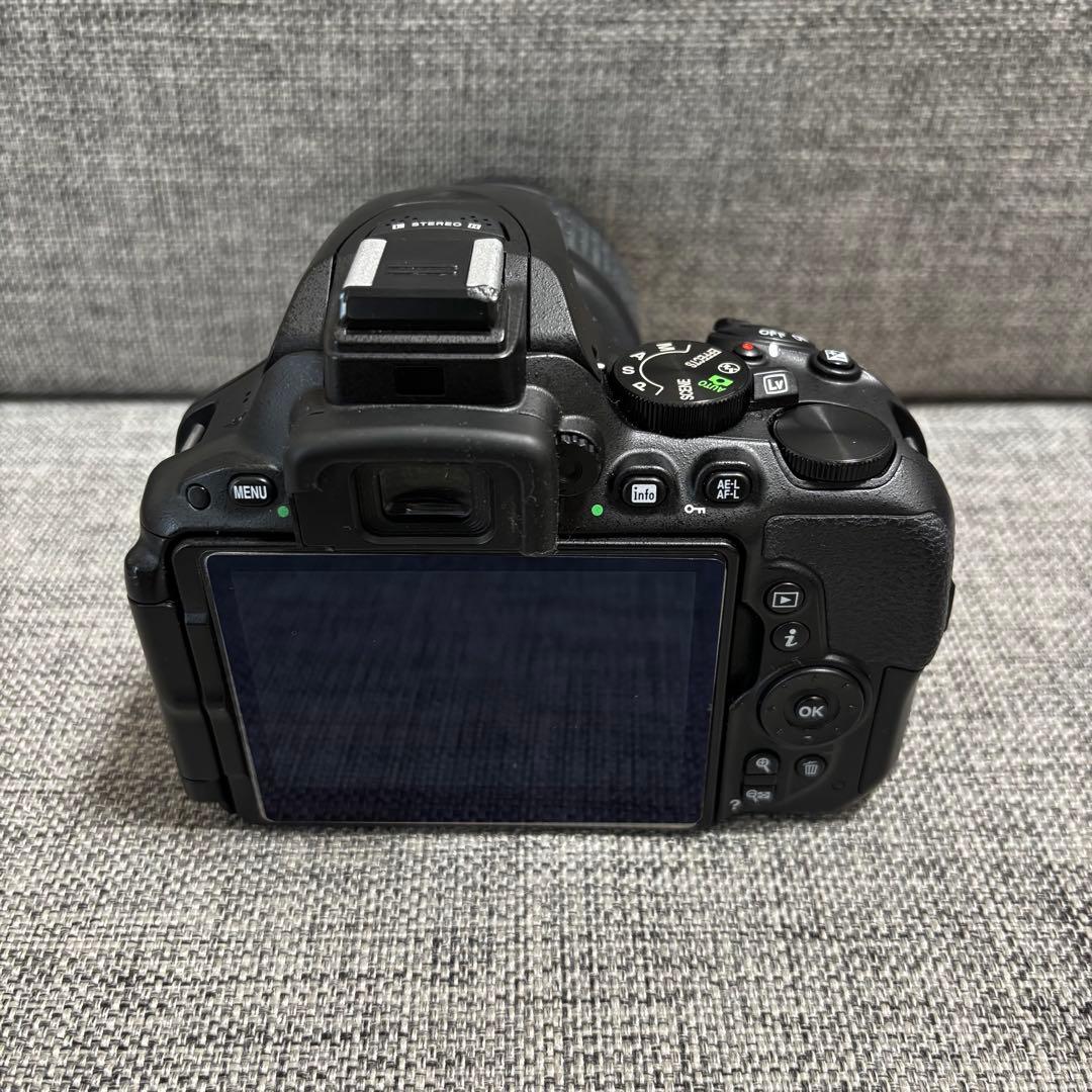 Nikon D5500 レンズ＋おまけ付き