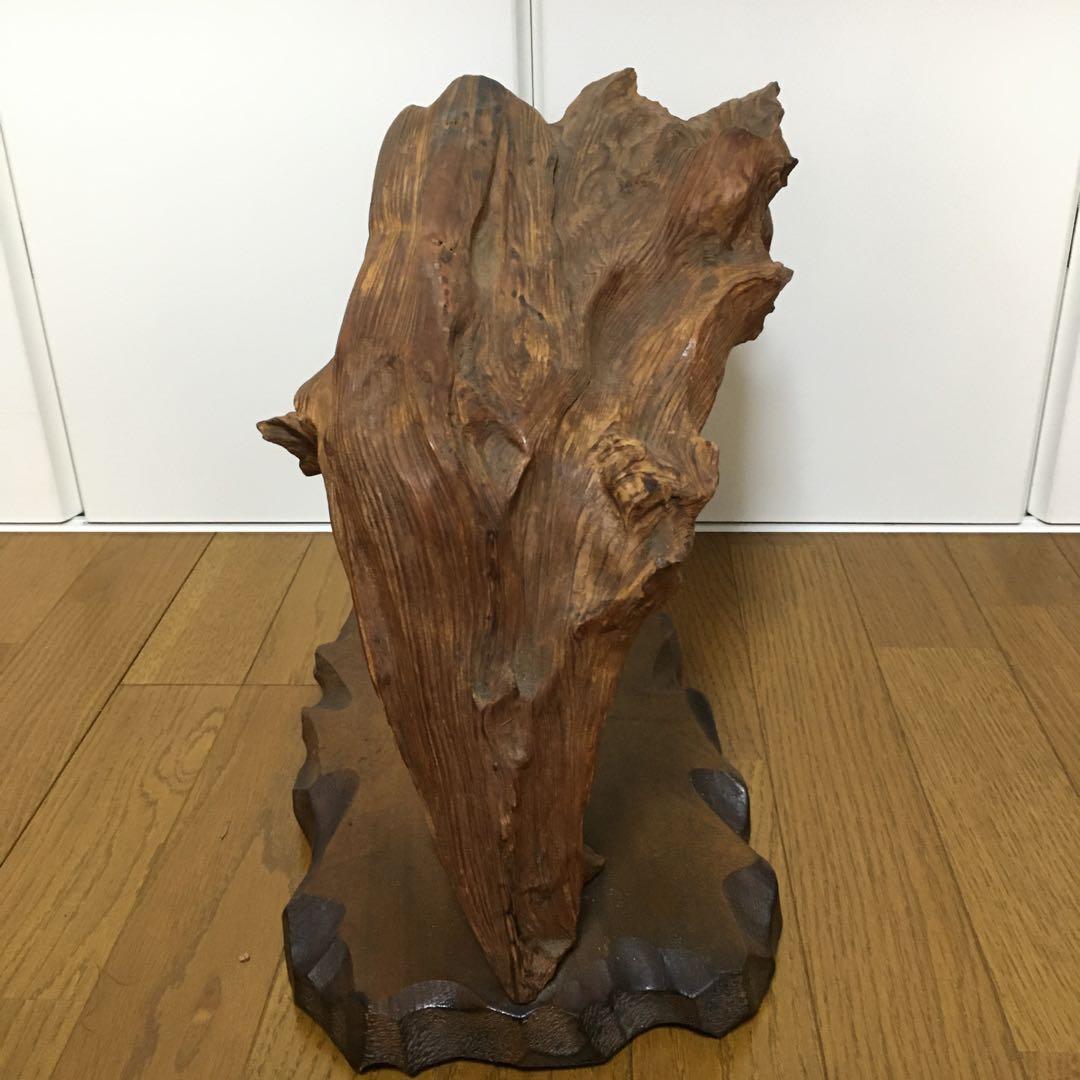 1236 台木　切り株