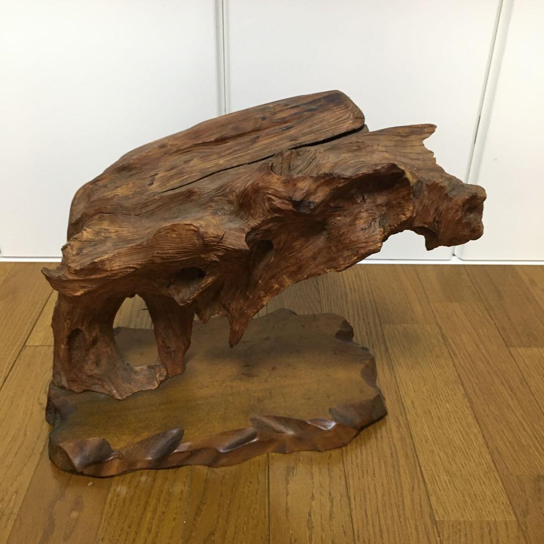 1236 台木　切り株