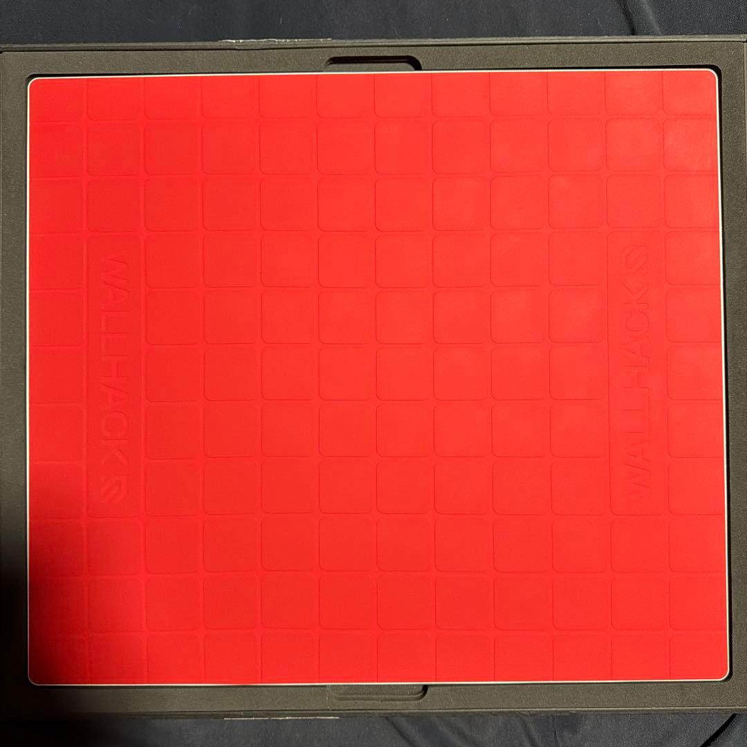 WALLHACK 限定版SP-004 Frenzy Sora