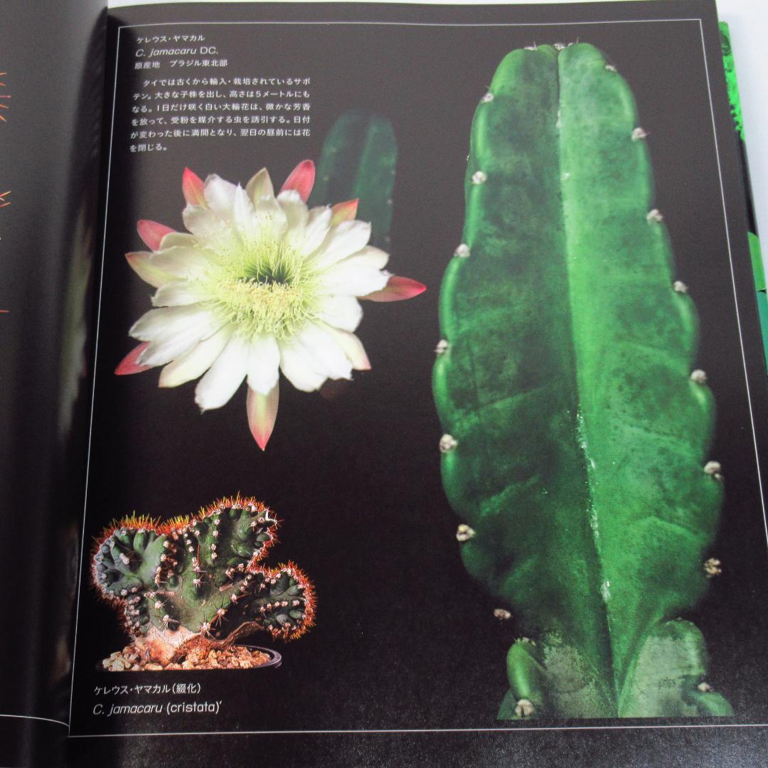 ひろ　サボテン全書 All about CACTUS 【貴重本 初版】