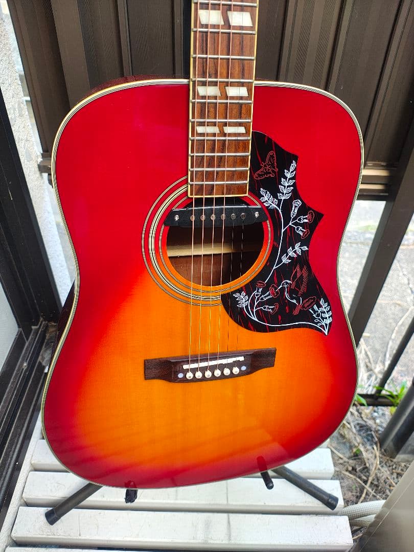 美品 ハミングバード Wピックアップ付エレアコ トップ単板