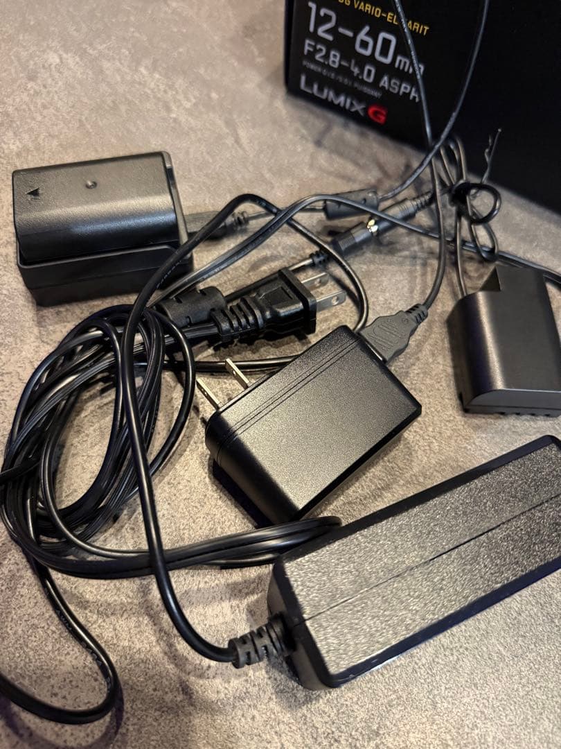 パナソニックLUMIX DC-GH5S 本体レンズセット