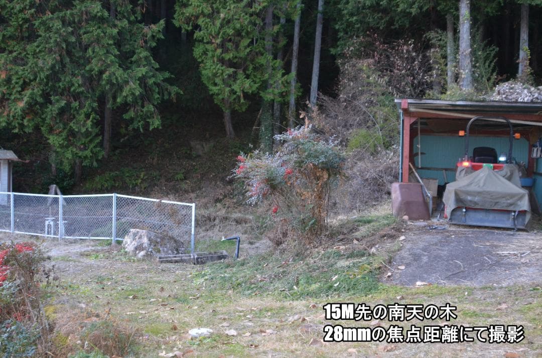 Nikon D7000　初心者～中級者　高倍率レンズセット、センサー清掃済み✨