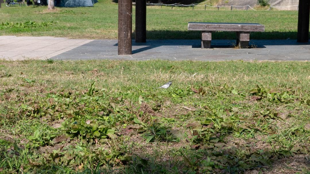 Panasonic LUMIX DMC-GF5 レンズキット スマホ転送OK