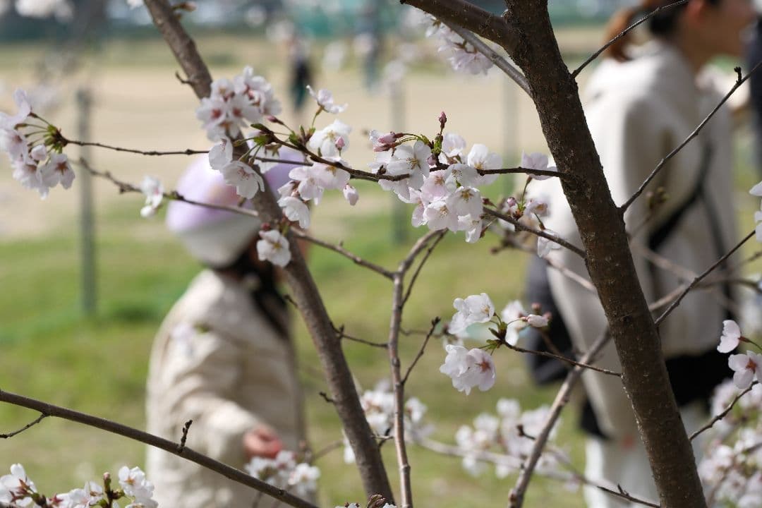 藤*昇様 FUJINON XF90mm F2 R LM WR スクエアフード付