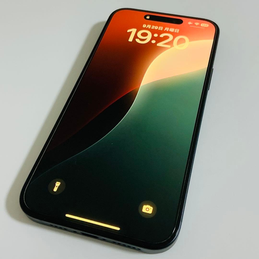 【箱あり•美品】iPhone 15 Plus 256GB ブラック SIMフリー