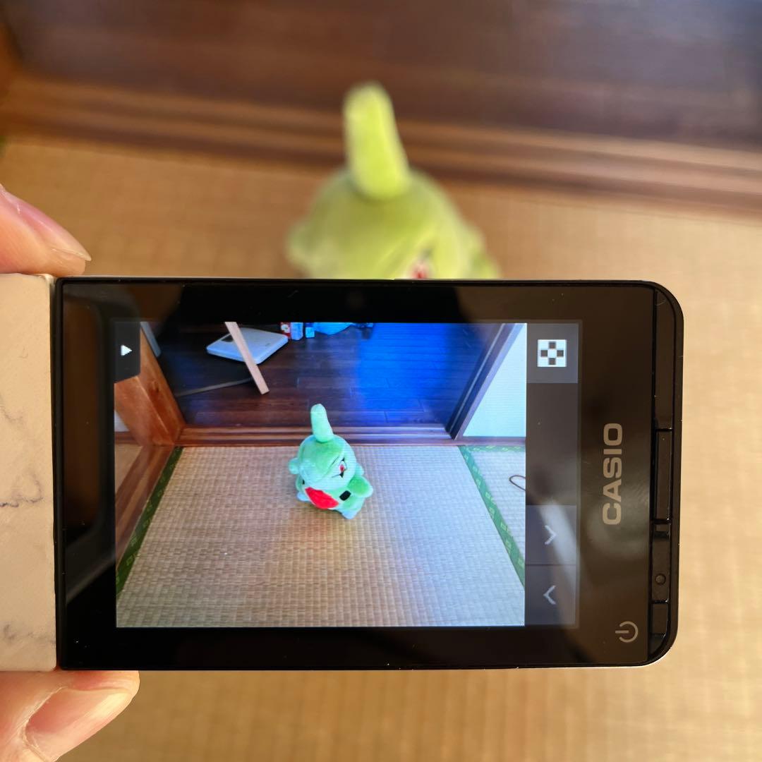 CASIO EXILIM EX-TR350 自撮りカメラ