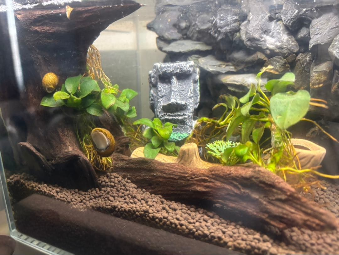 イモリウムセット　小川付　50×30×30