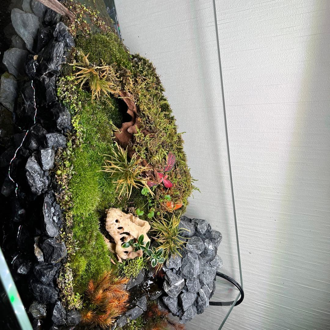 イモリウムセット　小川付　50×30×30