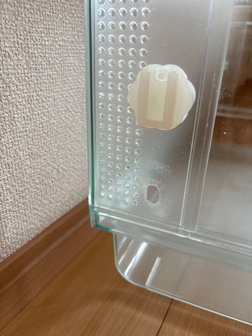 Glass Harmony 600 ➕多数アクセサリー