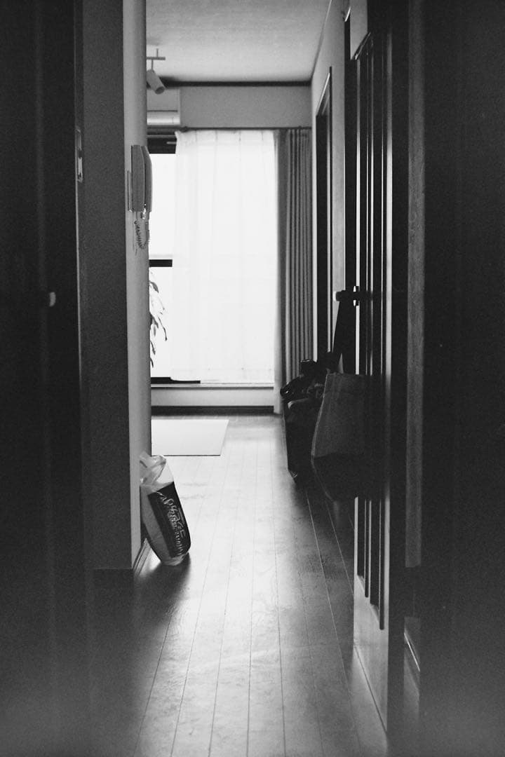 フィルムカメラ Nikon F2 Photomic DP-1 + Nikkor 50mm F2