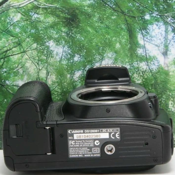 ❤️美品♪Canon EOS20D☆wifiSDでスマホ転送OK♪付属品多数❤️