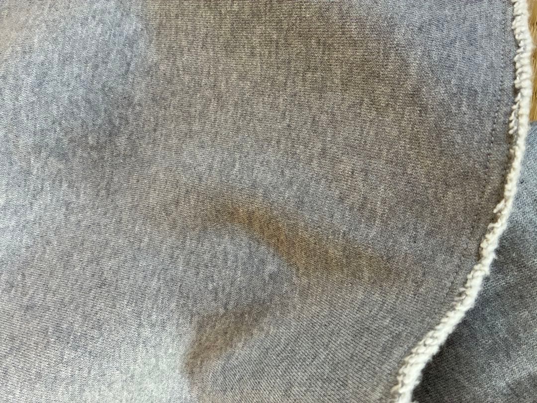 JOURNALSTANDARDL'ESSAGE別注INSCRIRE スウェット