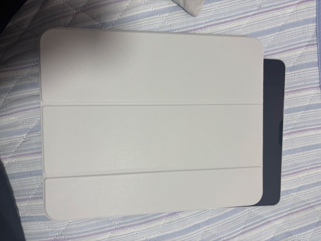 ipad pro 12.9インチ　シルバー　256gb 第5世代